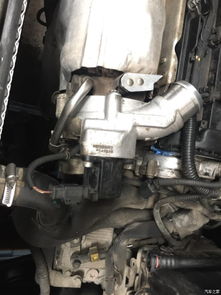 全面呵護，煥新出發 成都3008大養護全記錄